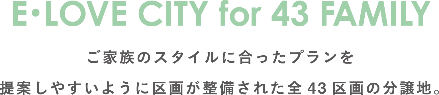 敷地内に公園もある全43区画のビッグタウン